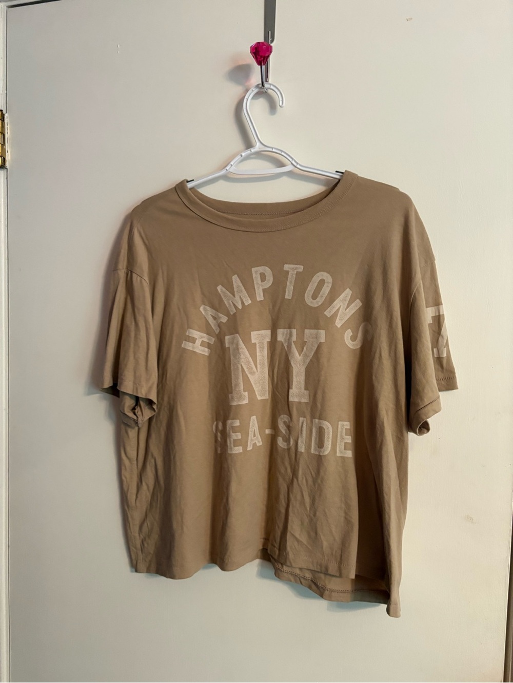 American Eagle Hamptons Seaside Cropped Graphic Tee - Taupe